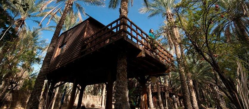 Hotel Diar Abou Habibi - Photo2