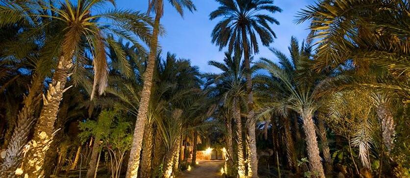 Hotel Diar Abou Habibi - Photo4