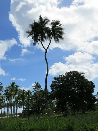 Homestay - Aussie volunteer in Tonga - Photo2