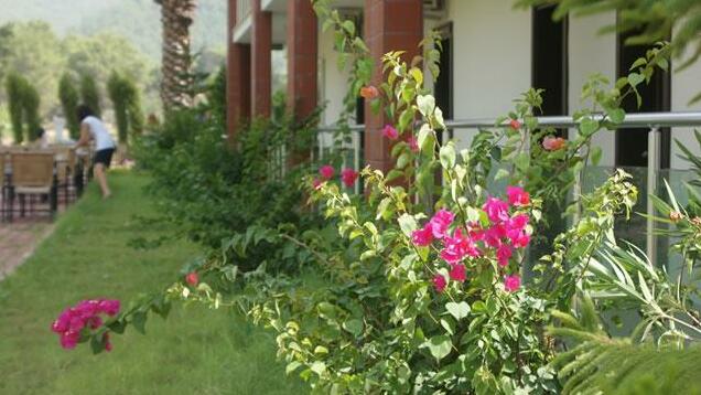 Adrasan Palmira Hotel - Photo5