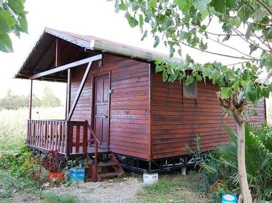 Arkadas Otel - Photo5