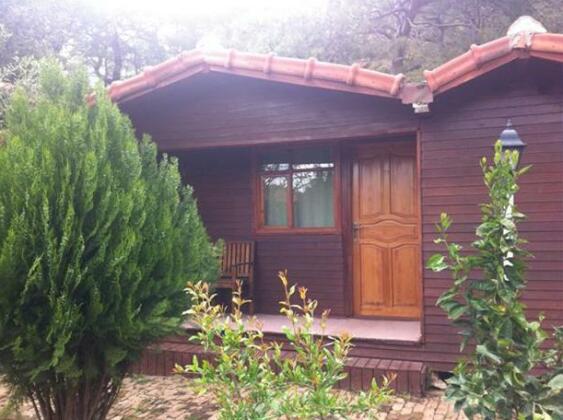 Bluebay Motel - Photo3