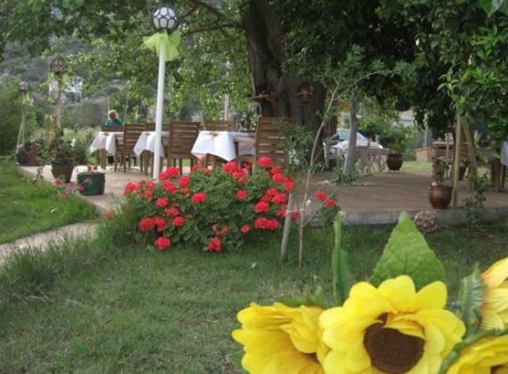 Hotel Narcicegi - Photo5