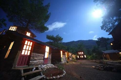 Jungle Bells Hostel - Photo3