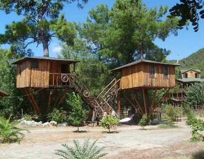 Jungle Bells Hostel - Photo5