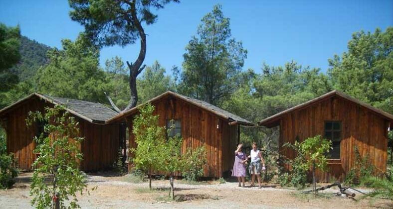 Rahmi's Tree Houses Adrasan - Photo3