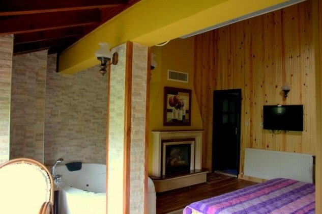 Agva Shelale Otel - Photo3