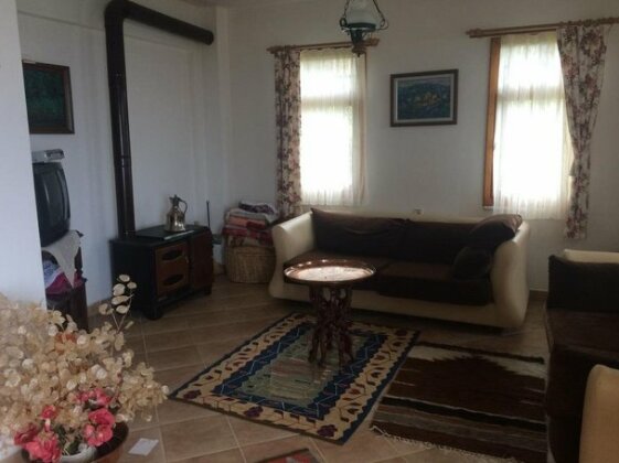 Hanci Villa 1 - Photo4