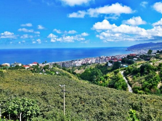 Paradise Villa Trabzon - Photo2