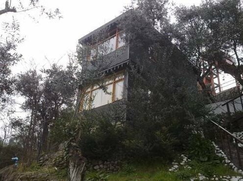 Pasa Tatil Koyu - Photo2