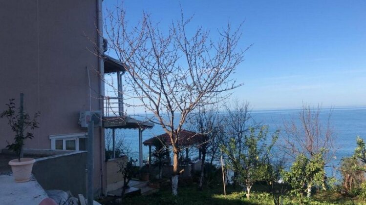 Villa Trabzon - Photo3