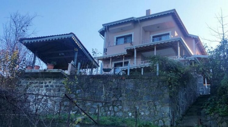 Villa Trabzon - Photo5