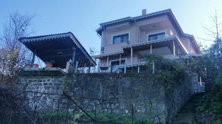 Villa Trabzon - Photo5