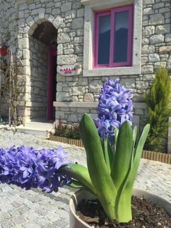Aladam Hotel - Photo3