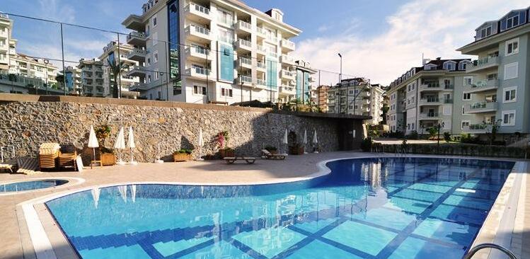 Olive City - Photo3