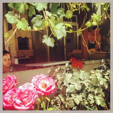 Sahin Guest House - Photo3