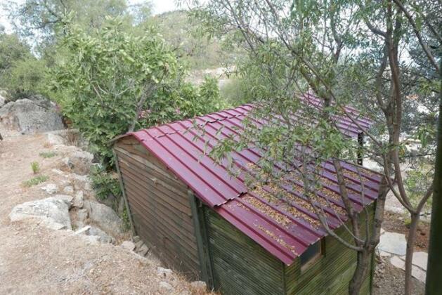Catchy Camping Alinca