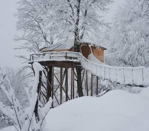 Olimbera koy evi - Photo3