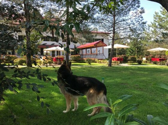 Pinar Kir Evi - Photo3