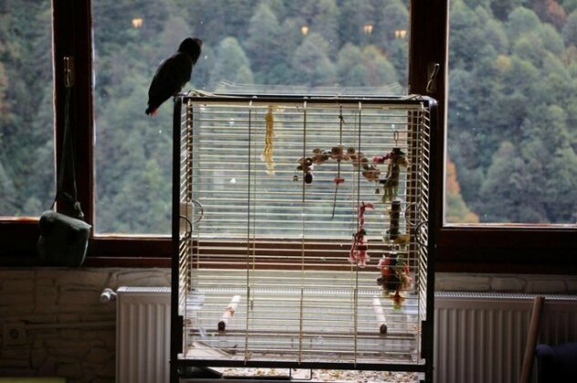 Ayder Doga Resort - Photo3