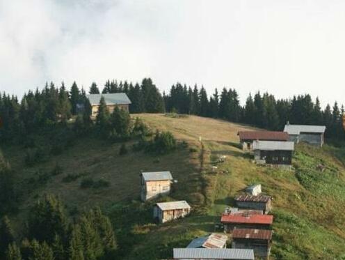 Demircioglu Pokut Dag Evi - Photo4
