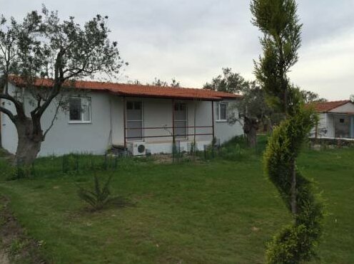 Gunes Tatil Koyu - Photo2
