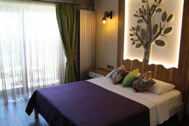 Assos Zeytinhan Hotel - Photo4