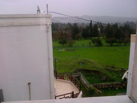 Marti's Home - Photo3