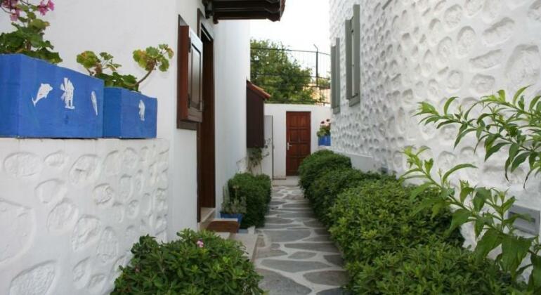 Photo 4