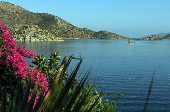 Dolphin Pension & Butik Hotel - Photo2