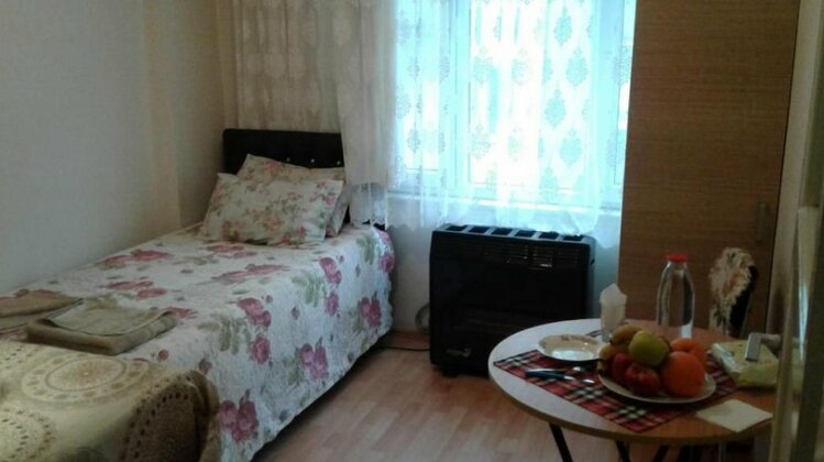 Private Room With All Apartment Access - Photo2