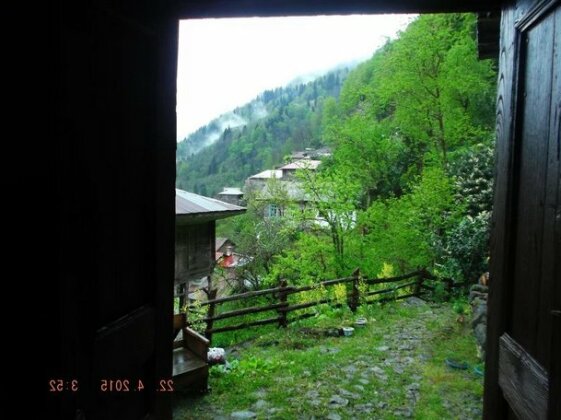 Demircioglu Ortan Koyu Konagi - Photo5