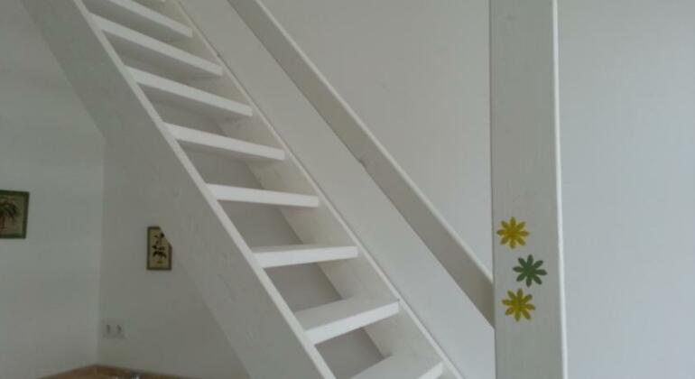 Yerli Limon - Photo3
