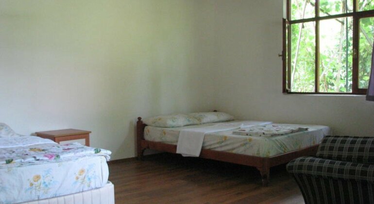 Alibaba Pension - Photo3