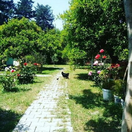 Alican SakliBahce Pension - Photo2