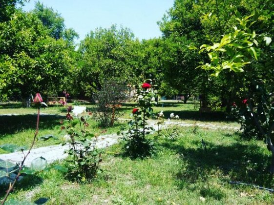 Alican SakliBahce Pension - Photo3