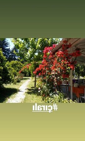 Alican SakliBahce Pension - Photo5