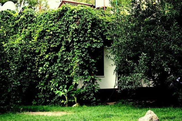 Arya Holiday Houses - Photo4