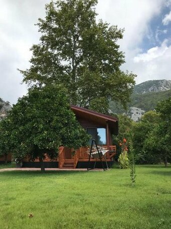 Asya Bungalow - Photo2