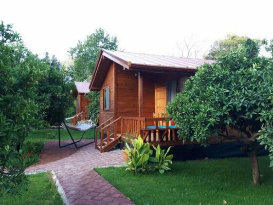 Asya Bungalow - Photo4