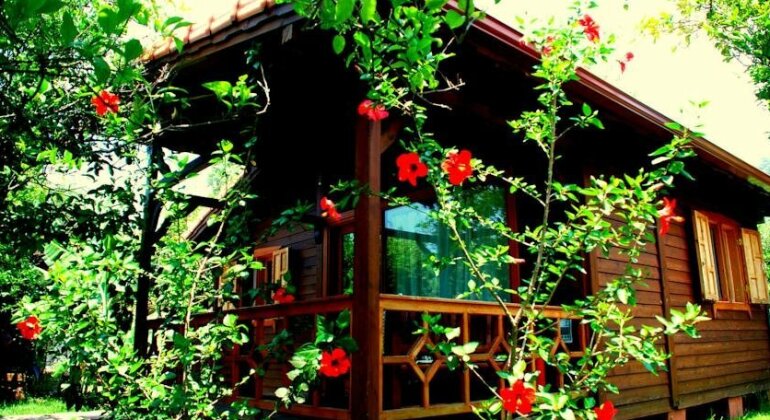 Baraka House