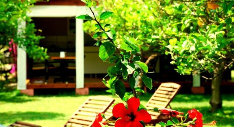Baraka House - Photo3
