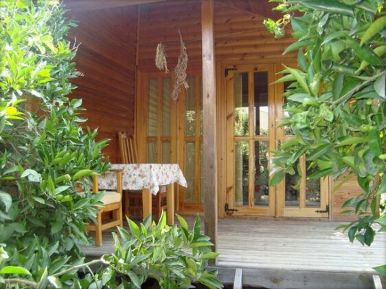 Bellerofon Hotel - Photo2