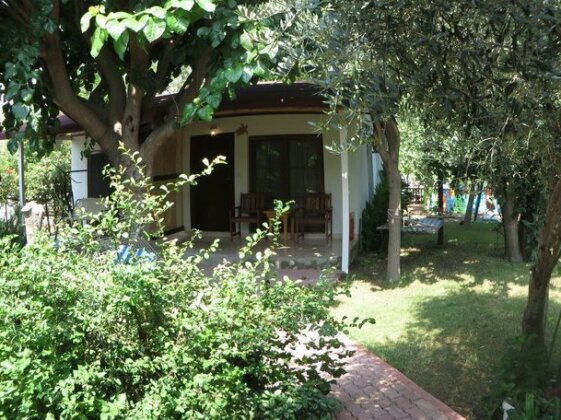 Caretta Caretta Pension - Photo3