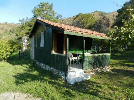 Cirali Dunya Pension