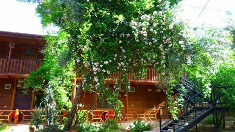 Cirali Simge Holiday Houses - Photo4