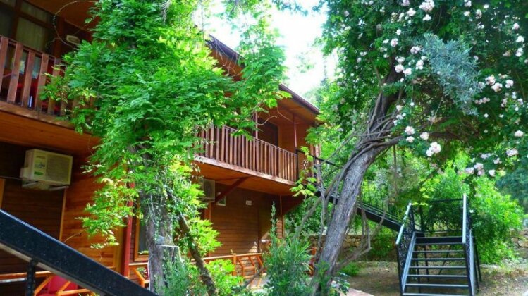 Cirali Simge Holiday Houses - Photo5