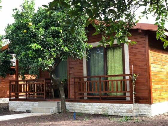 Cirali Villas 2 - Photo2