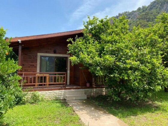 Cirali Villas 2 - Photo3