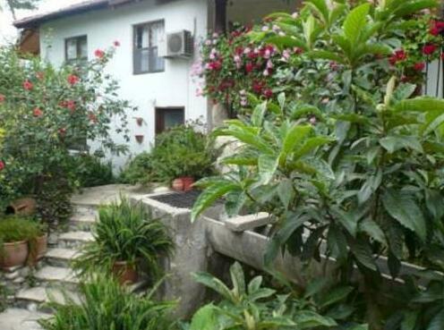 Dostlar Pension - Photo3